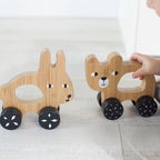 Push Toy