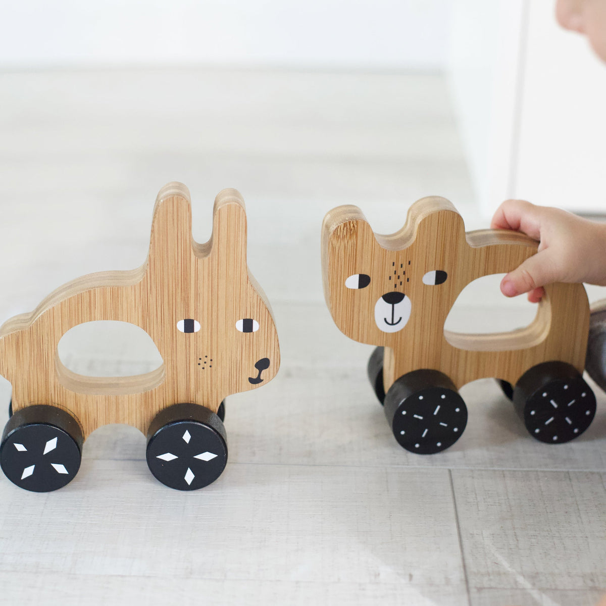 Push Toy