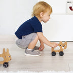 Push Toy
