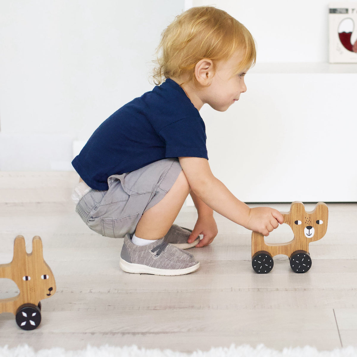 Push Toy