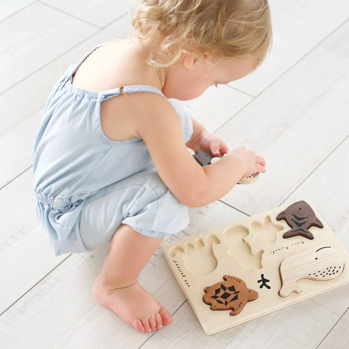 Wooden Tray Puzzle