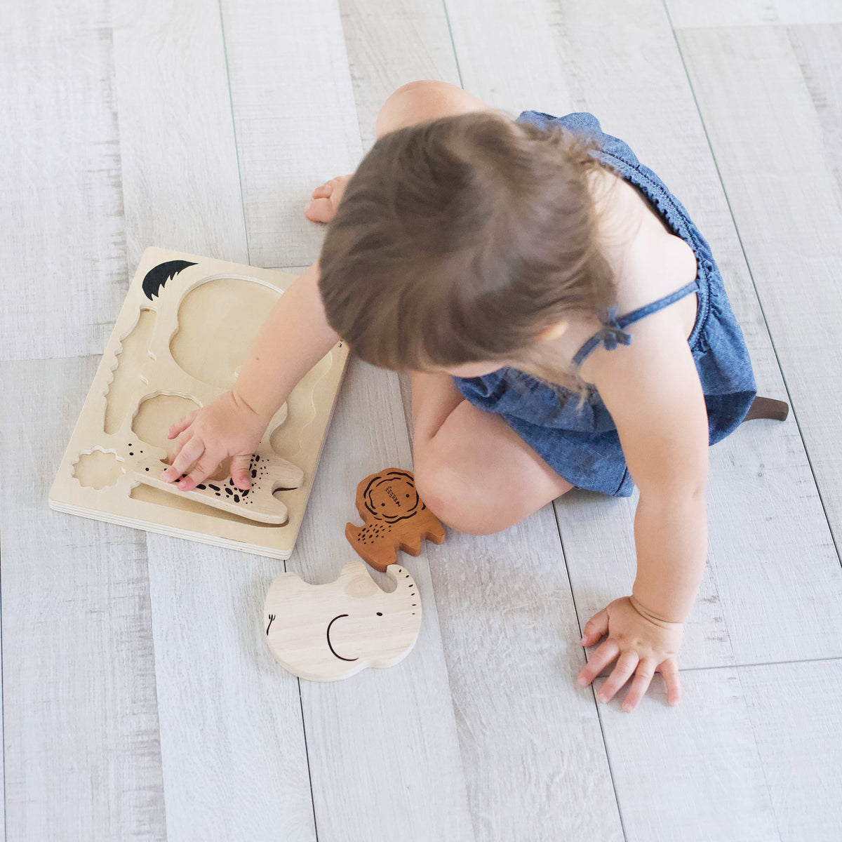 Wooden Tray Puzzle